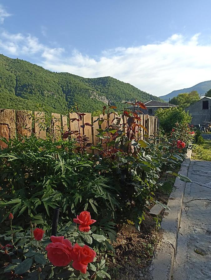 Green Garden Ijevan Luaran gambar