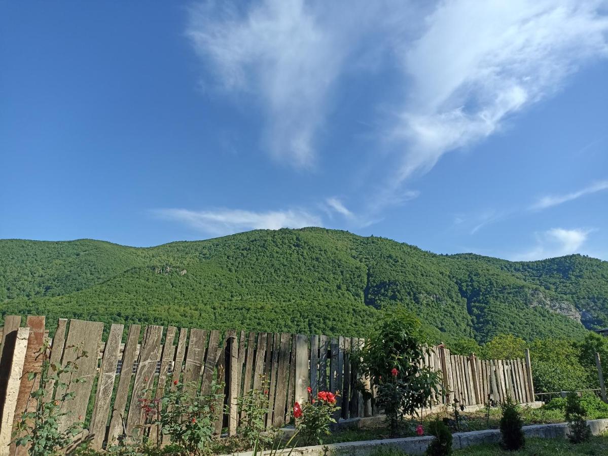 Green Garden Ijevan Luaran gambar