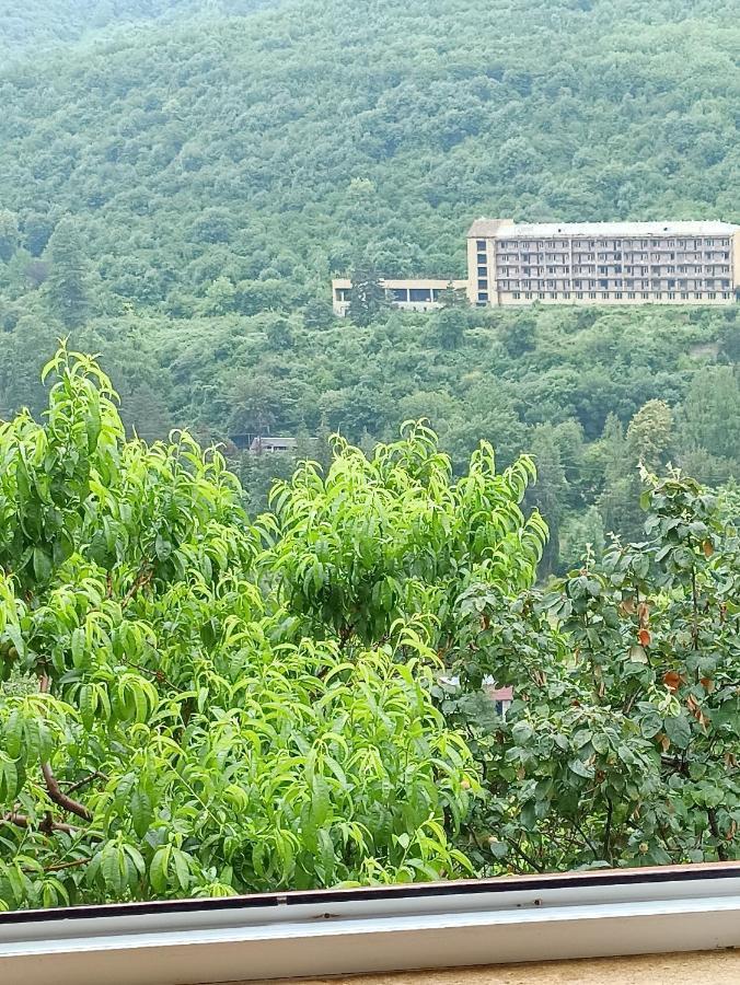 Green Garden Ijevan Luaran gambar