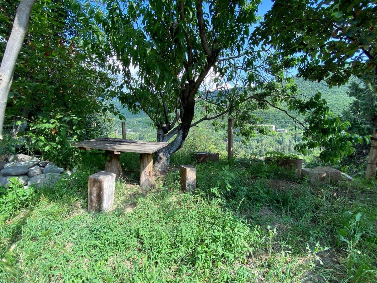 Green Garden Ijevan Luaran gambar